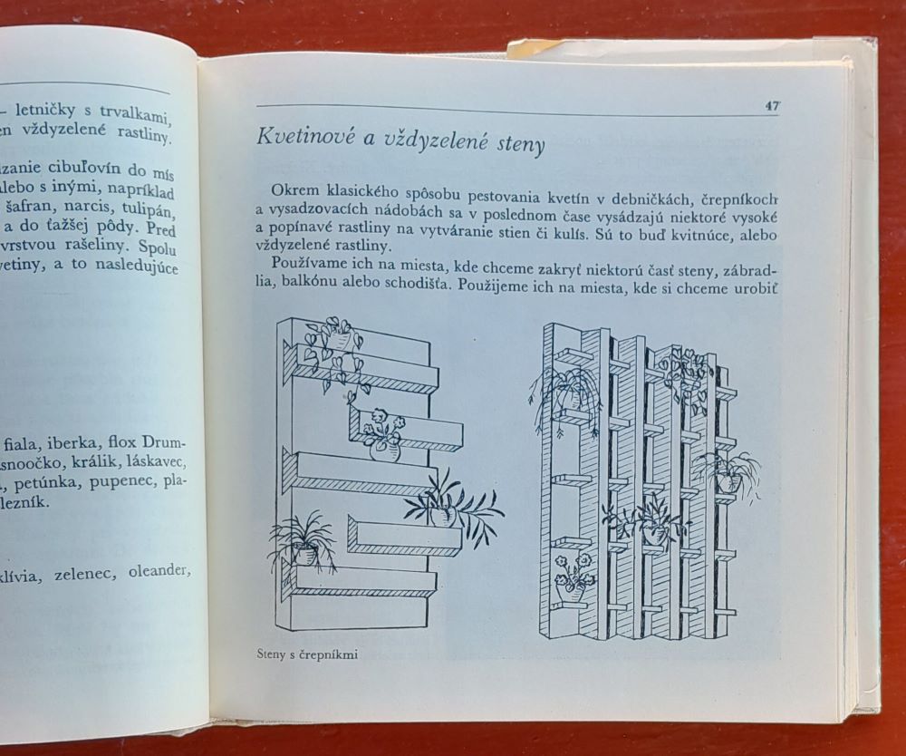 Kvetiny v oknách a na balkónoch / Rastlinná výroba