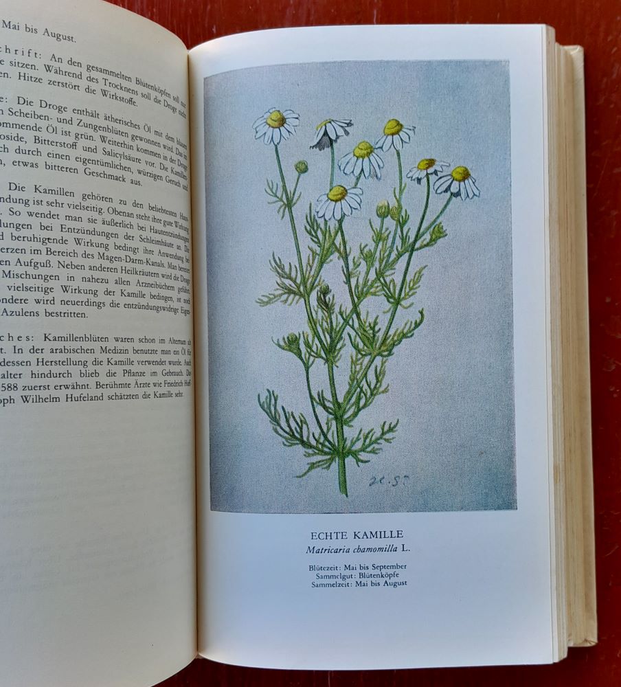 Unsere Heilpflanzen / Mit 152 Tafeln nach Originalen von Hans Salzmann