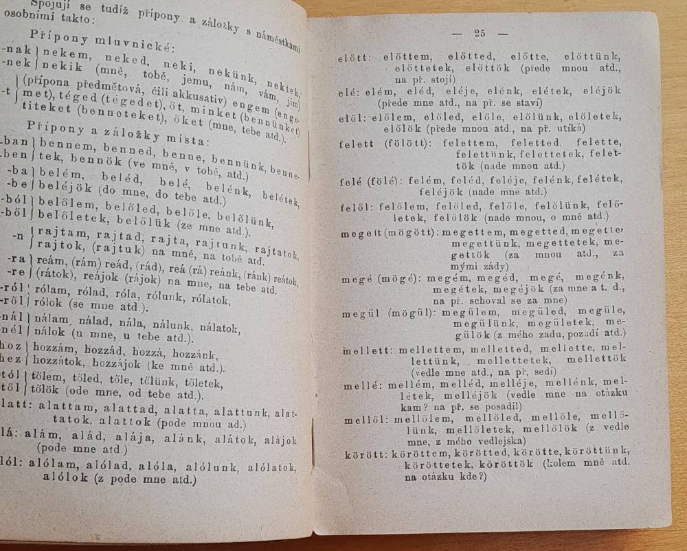 Kapesní slovník maďarsko - český