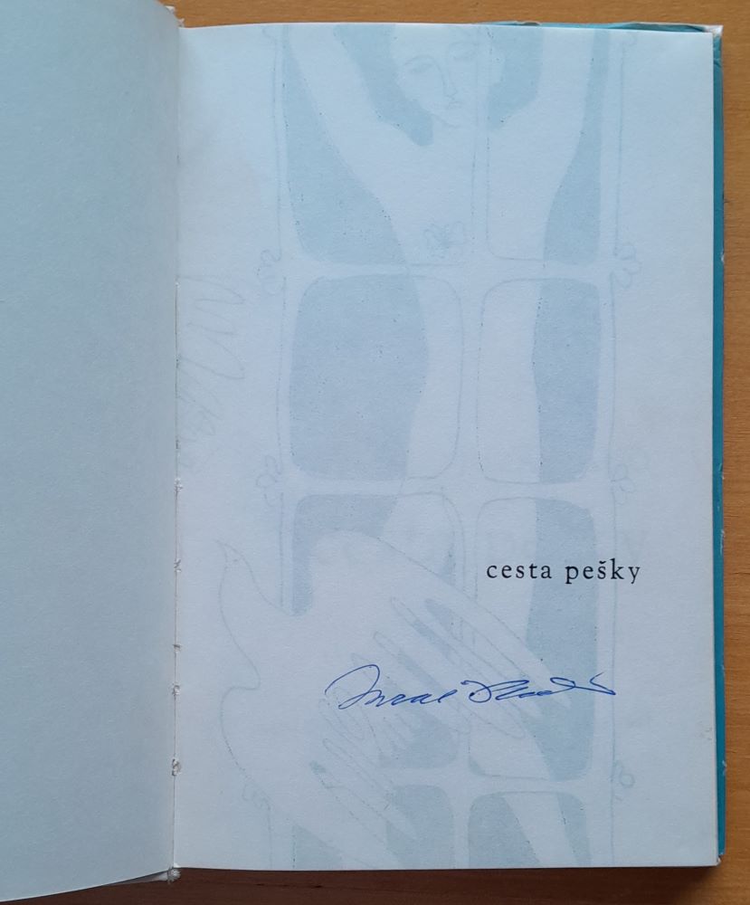 Cesta pešky