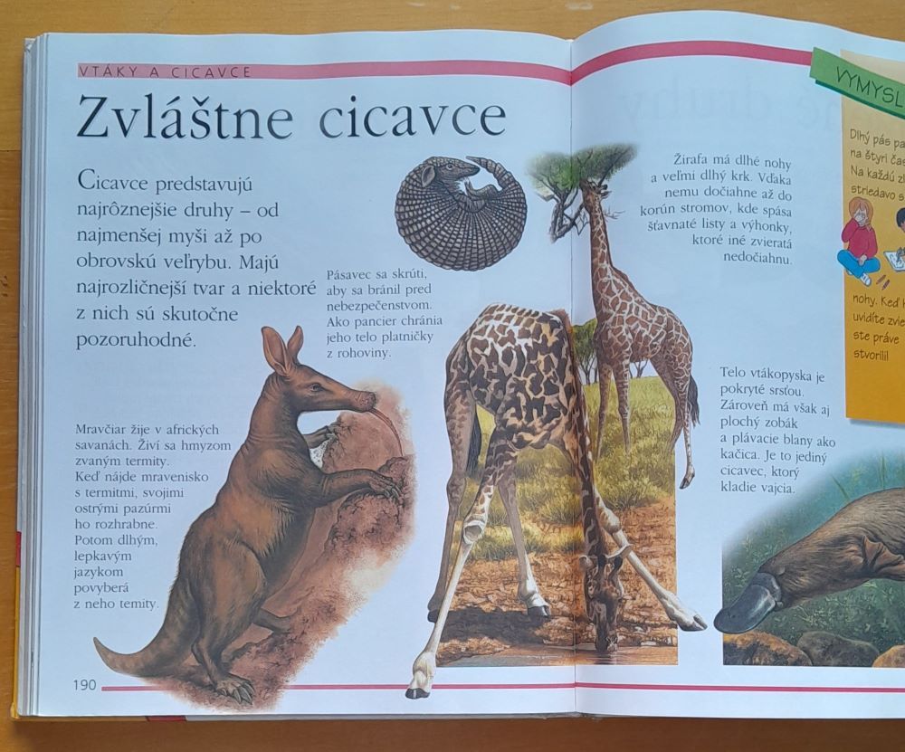 Tvoj svet / Prvá encyklopédia s tipmi pre zvedavé deti