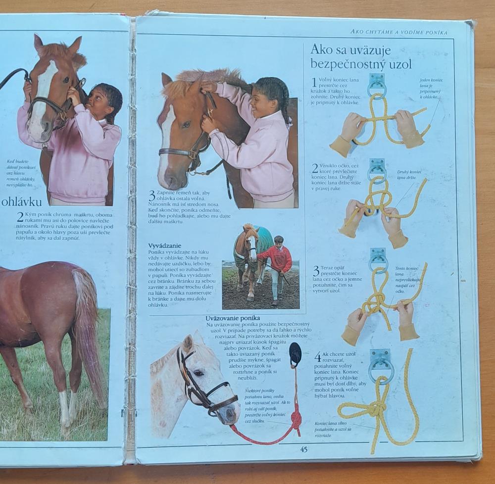 Mladý jazdec / Pre mladých nadšencov jazdenia