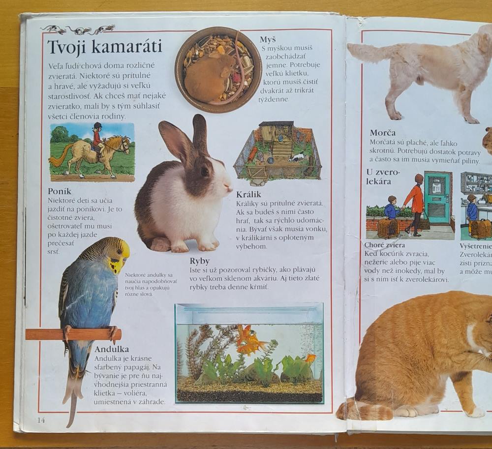 Moja prvá encyklopédia