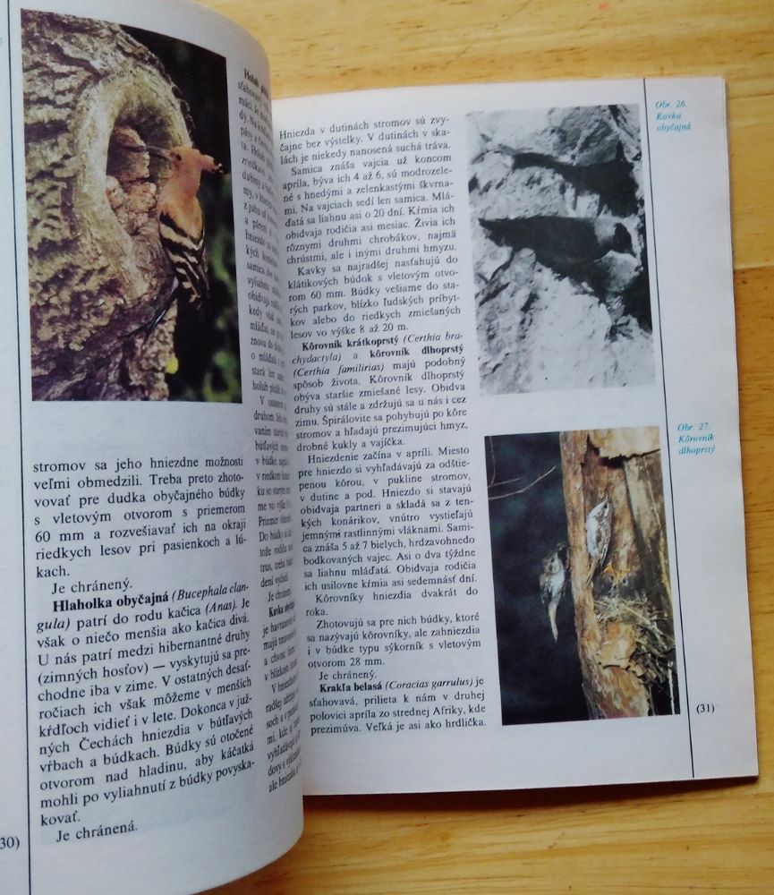 Vo vtáčích búdkach / KŠM