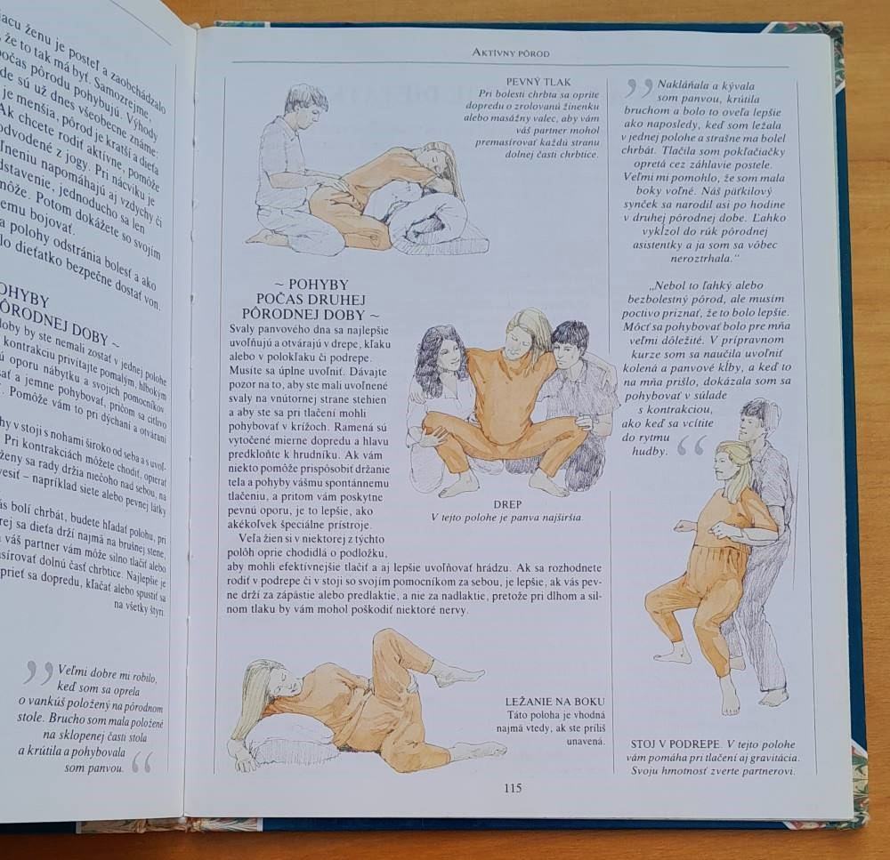 Tehotnosť deň za dňom / Praktický denník, osobný kalendár, poradca a sprievodca tehotnosťou