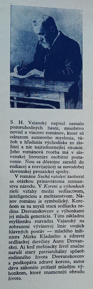 Koreň a výhonky II.