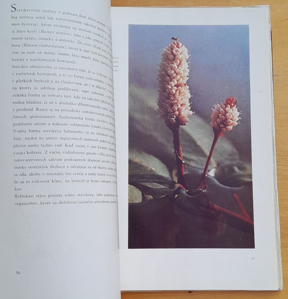 Potulky prírodou / Zväzok 1.- 4. / Edícia Živočíšna výroba