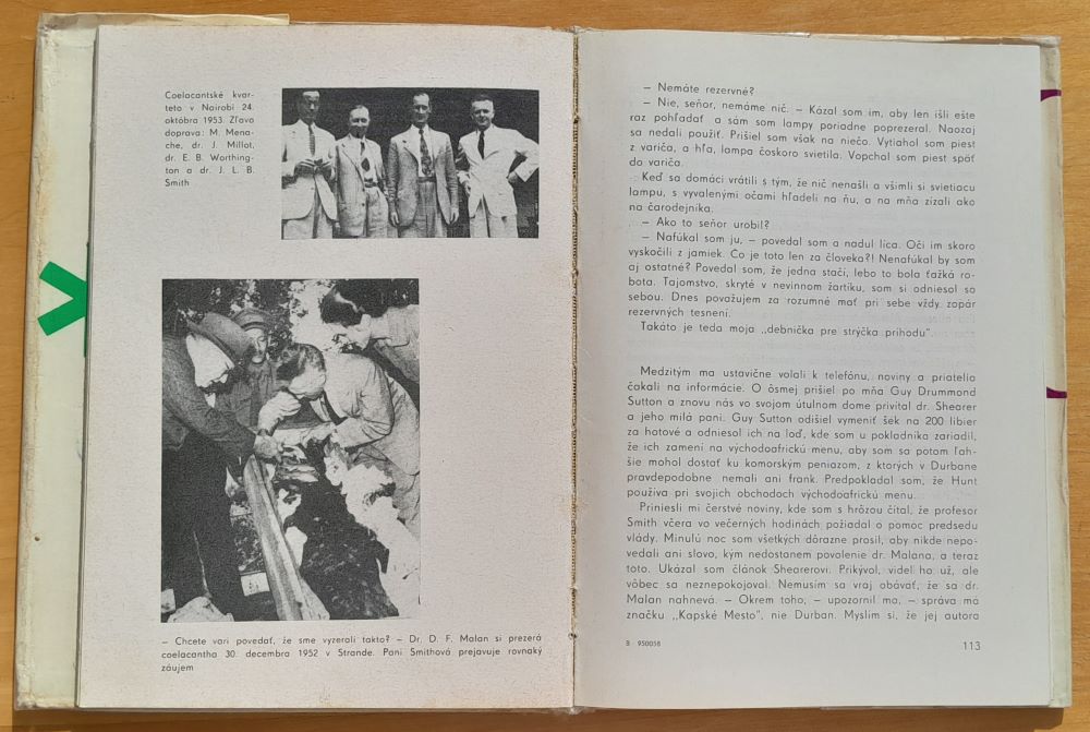 Cesta za štvornožcom