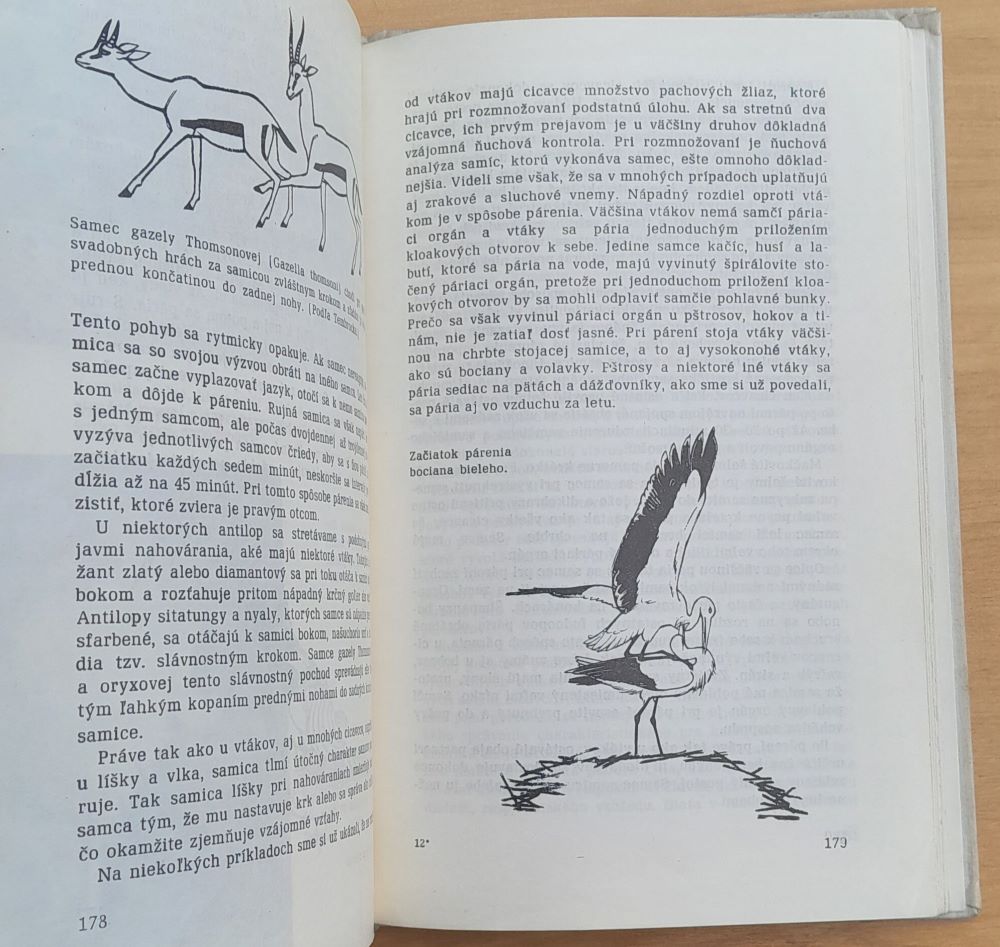 Praobyčajné zvieratá / Edícia Periskop