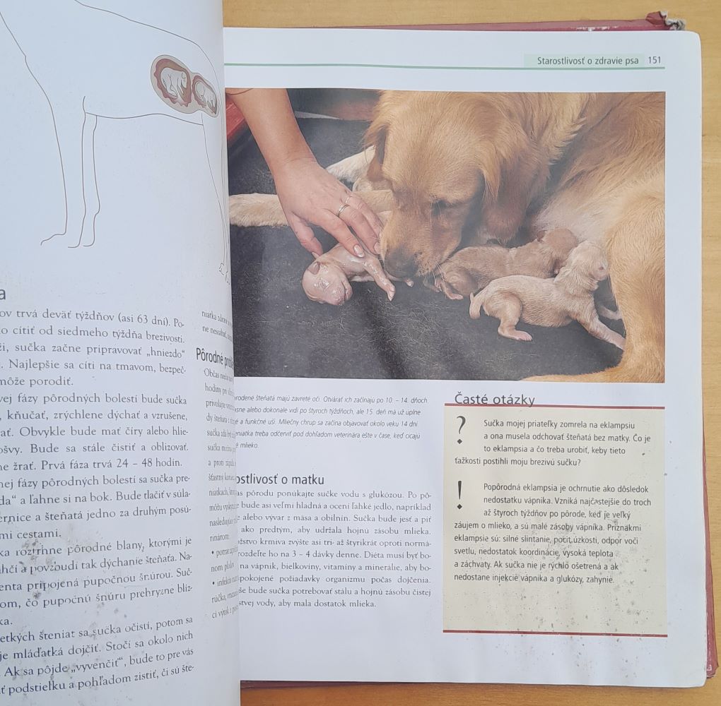 Môj pes / Úplný sprievodca starostlivosťou o psa po celý jeho život