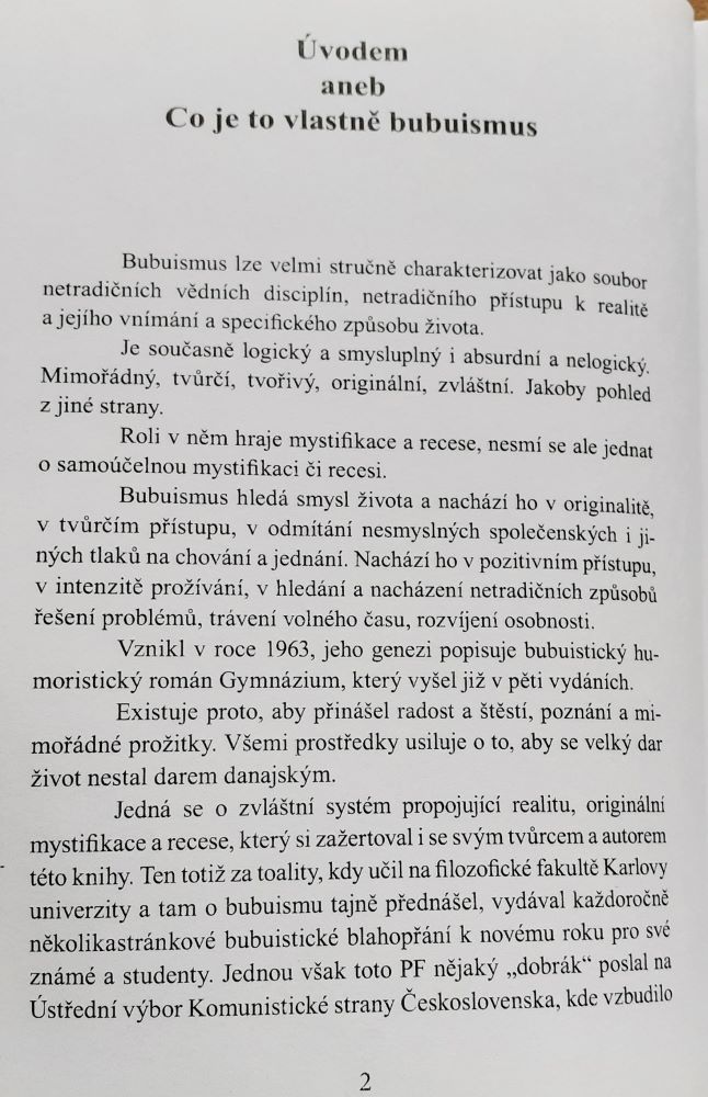 Bubuismus - nic pro blbce