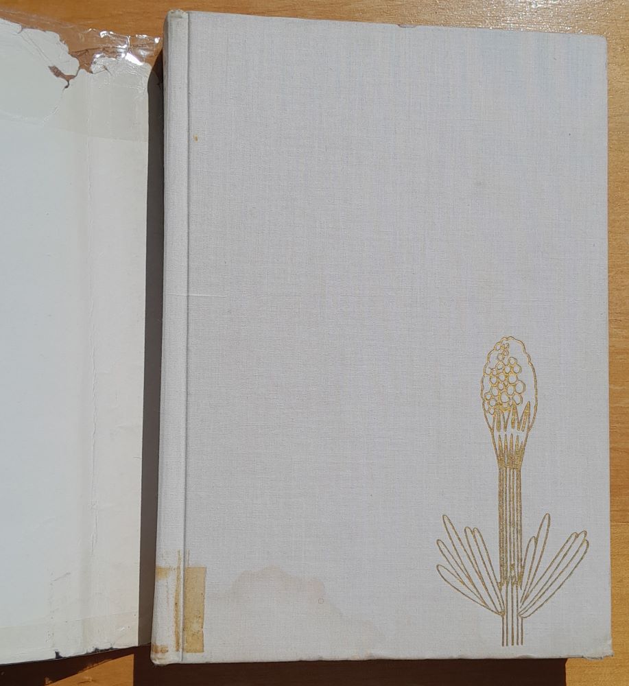 Skrytá krása rostlin / Lesnictví a myslivost