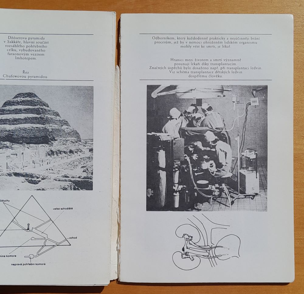 Kontinuita života / Vztah života a smrti od starověku po současnost / edice Prameny