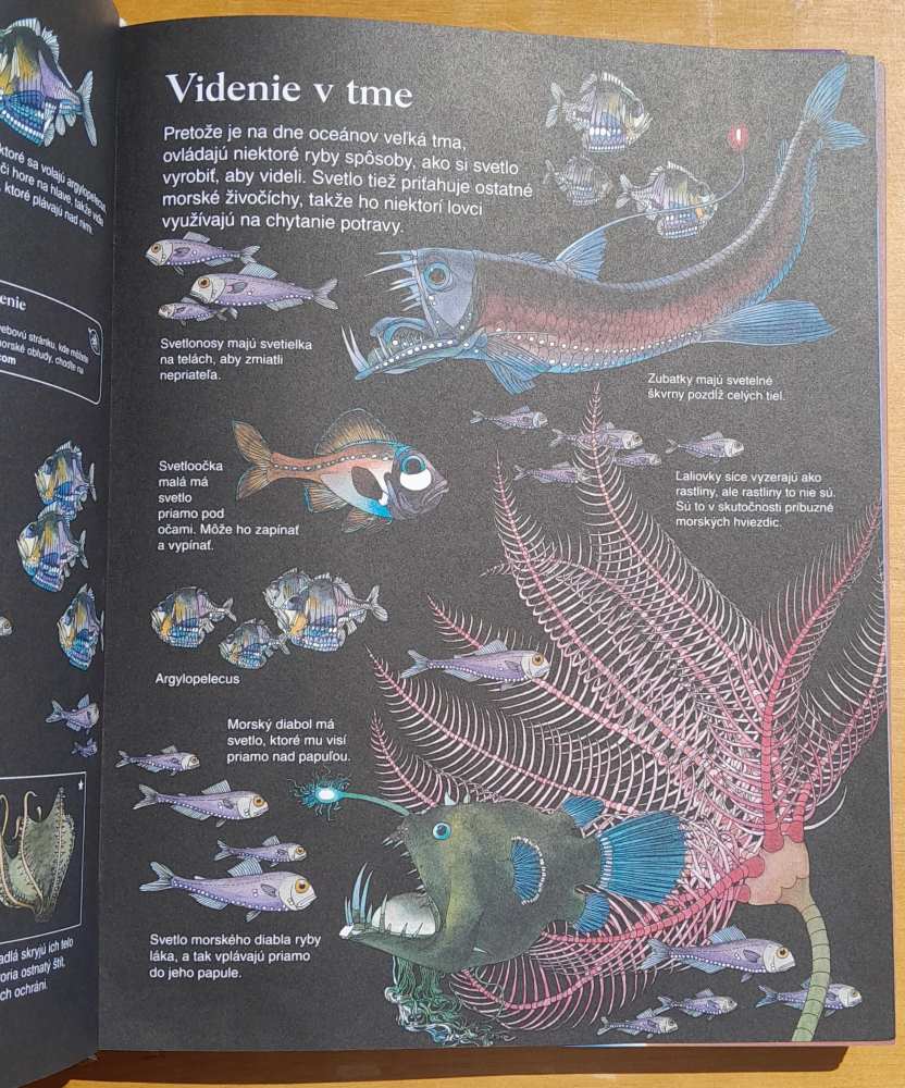 Detská encyklopédia