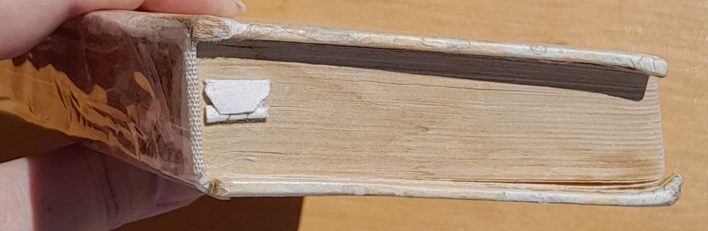 Rastliny pieskov a strání 5 / Edícia Obrázky z prírody