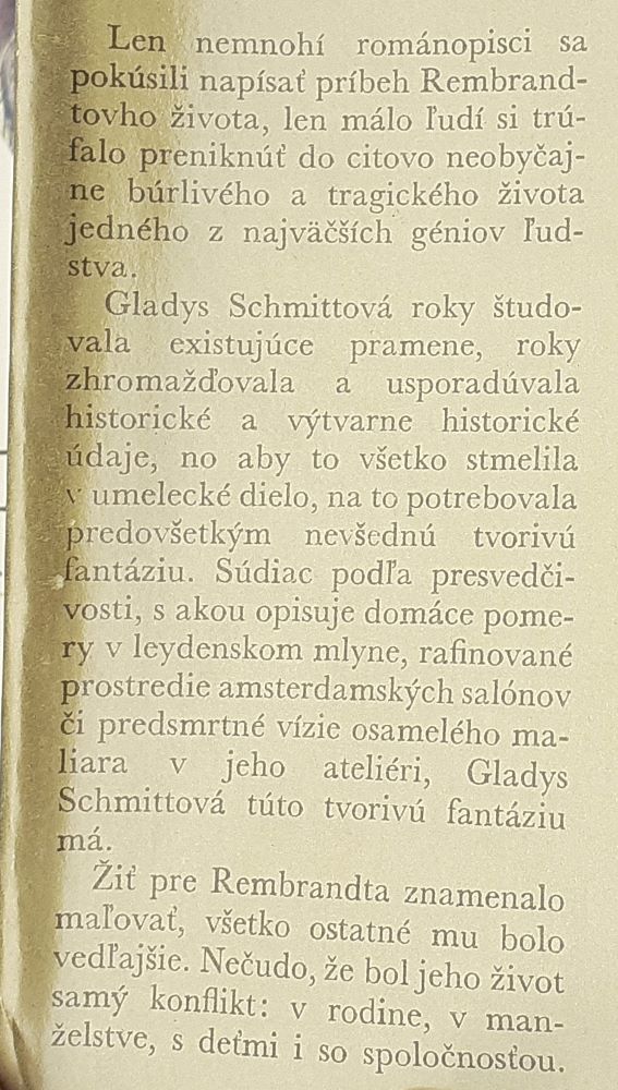 Rembrandt / Životopisný román / Postavy a osudy