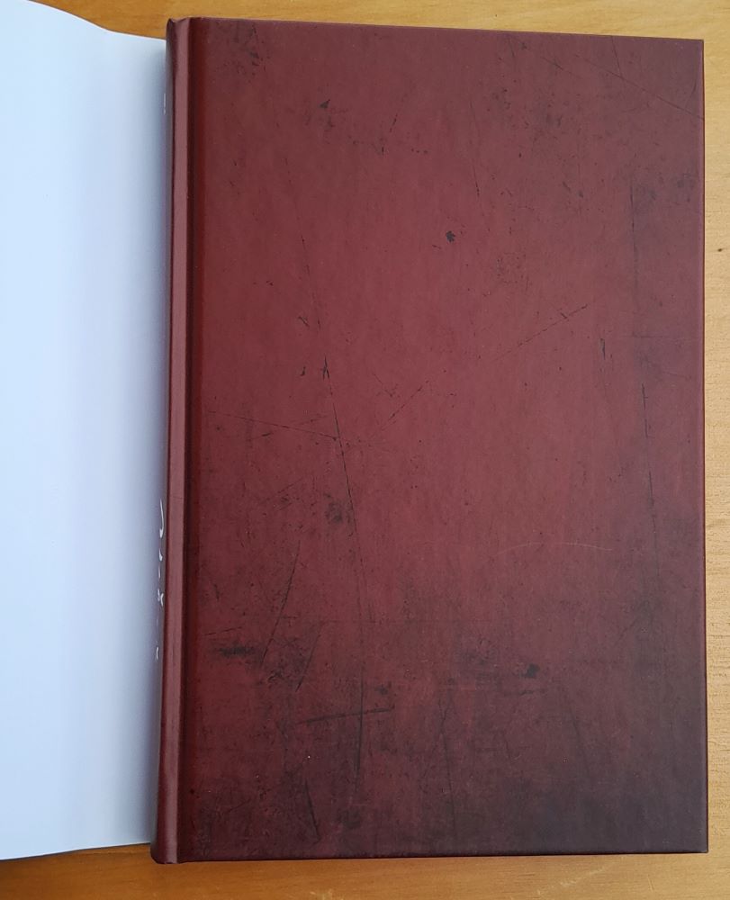 Vášeň - historický román