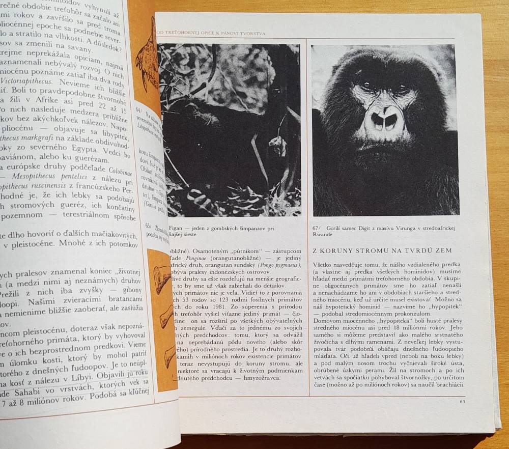 Milióny rokov človeka / Edícia Obrázky z prírody