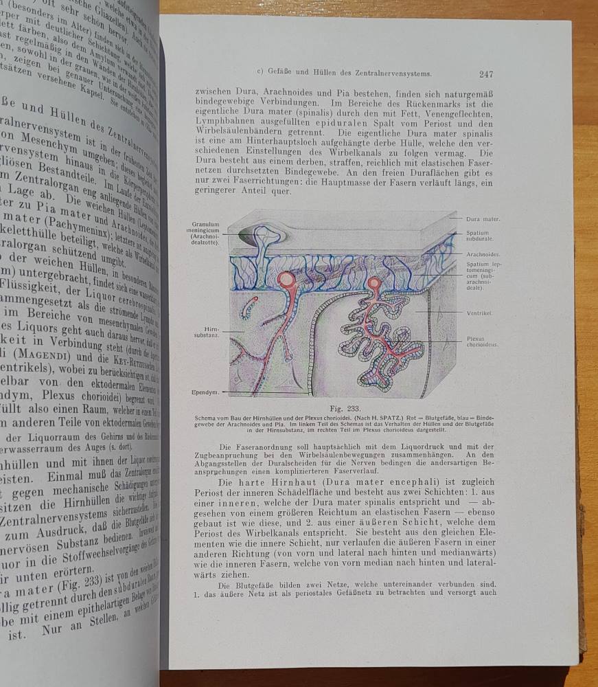 Lehrbuch der Histologie und der mikroskopischen Anatomie des Menschen