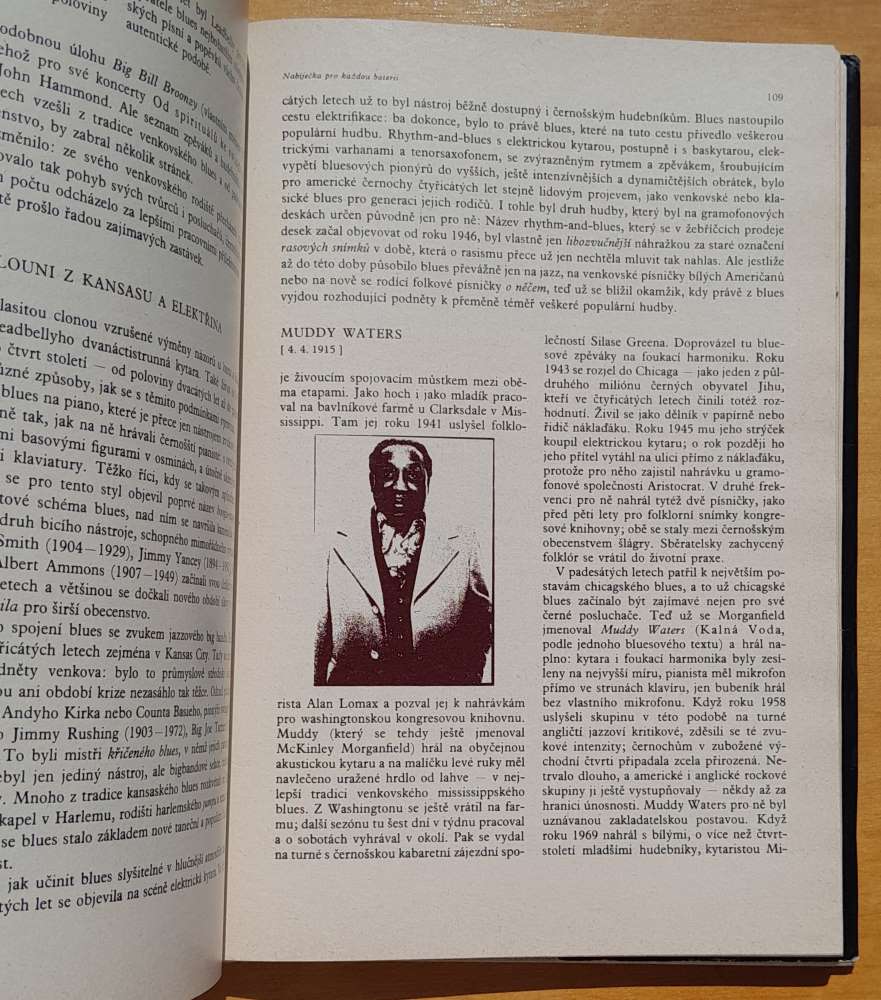 Panoráma populární hudby 1918-1978 aneb Nevšední písničkáři všedních dni