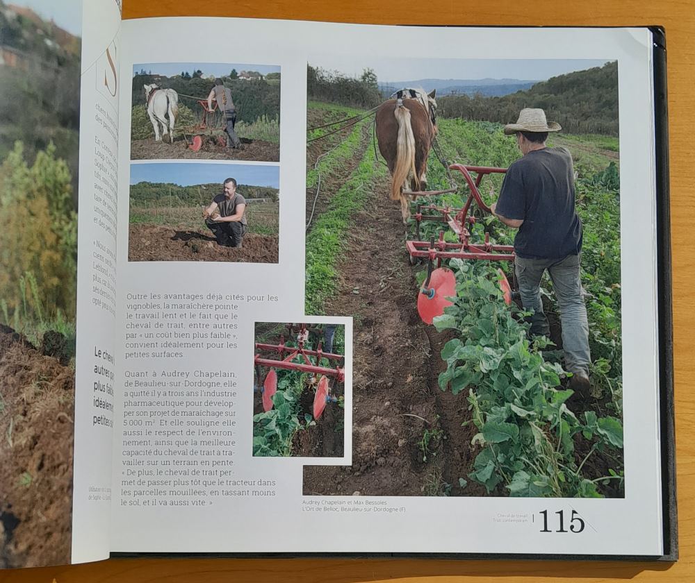 Cheval de travail Trait contemporain