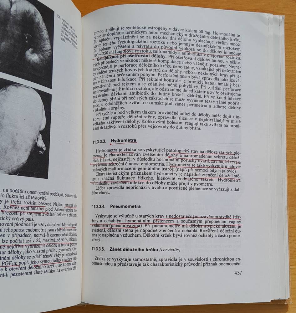 Veterinární porodnictví a gynekologie