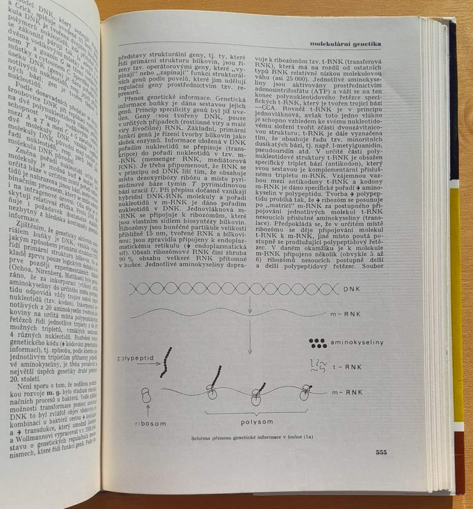 Naučný slovník zemědělský 4 m