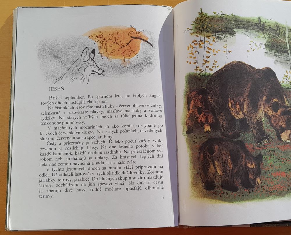 Rok v lese / I. Sokolov-Mikitov