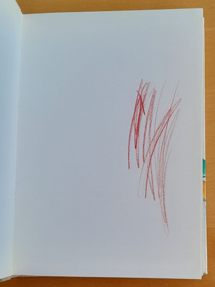 Vojto a medveď Peter