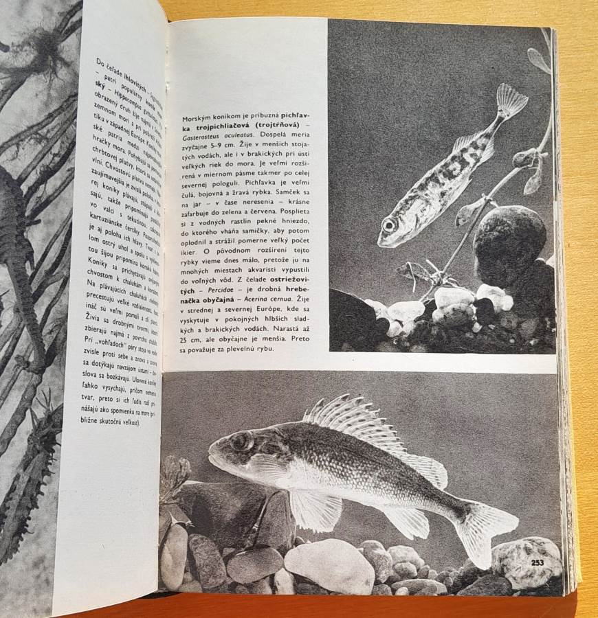 Veľký obrazový atlas zvierat - bohato ilustrovaná