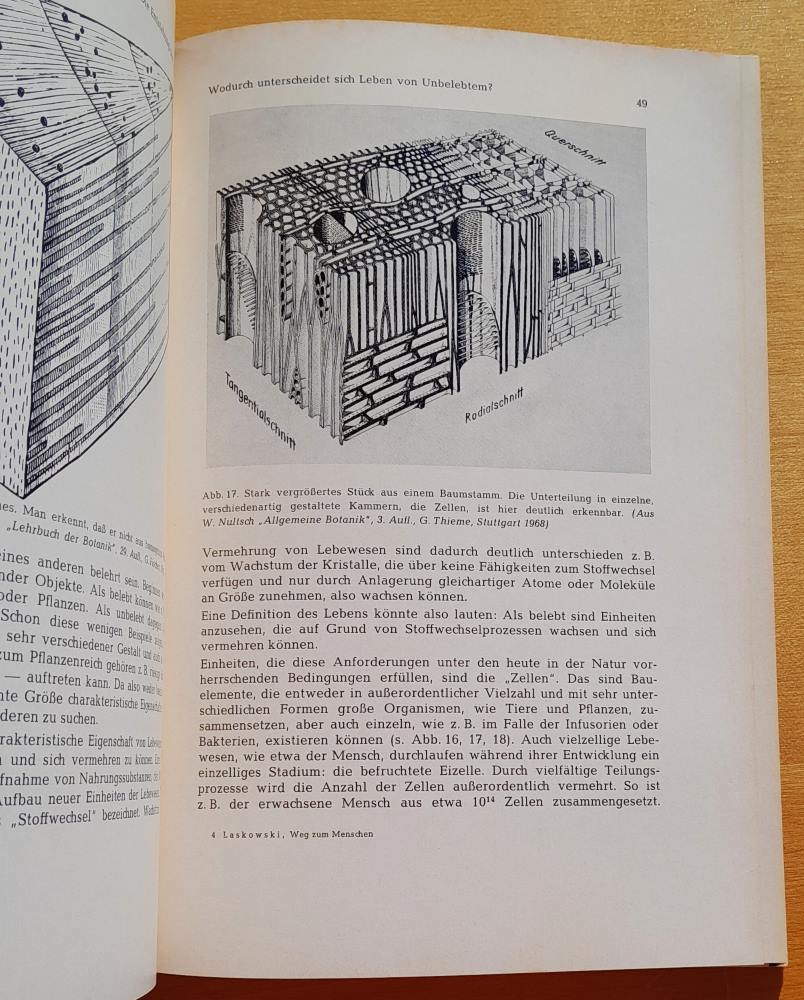 Der Weg zum Menschen / Vom Urnebel zum Homo Sapiens
