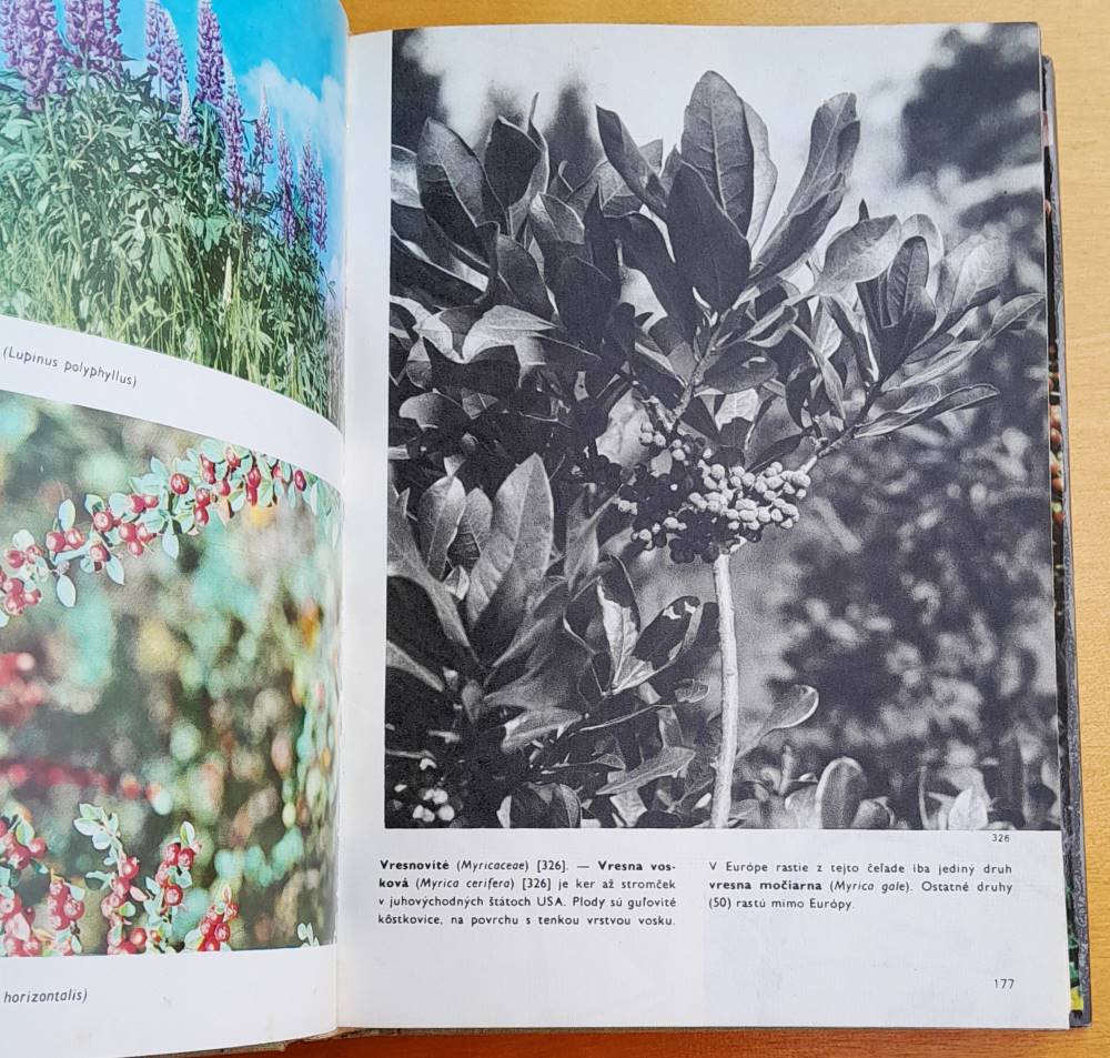 Veľký obrazový atlas rastlín