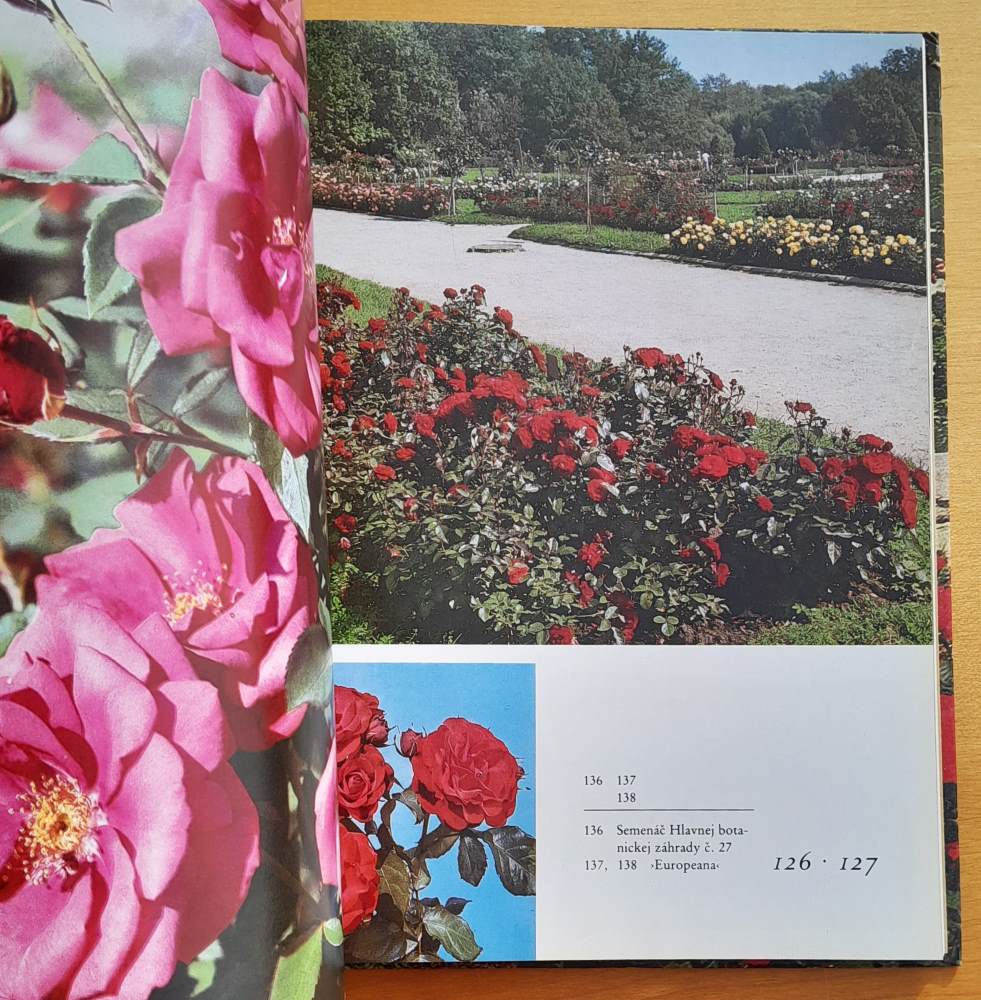 Rozárium / Hlavnej botanickej záhrady pri Akadémii vied ZSSR