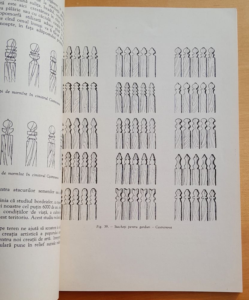 Elemente decorative la bordeiele din sudul regiuni Craiova 