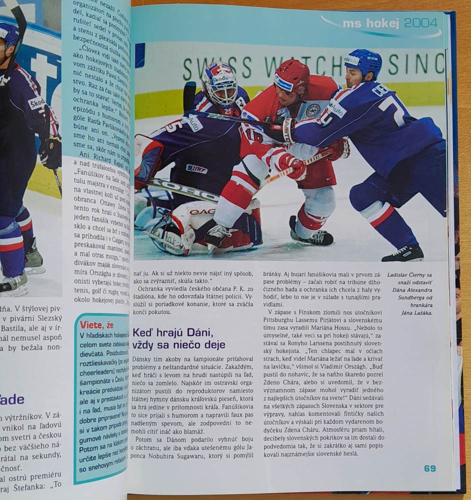 Zlatí aj bez medailí / MS v ľadovom hokeji 2004 ČR