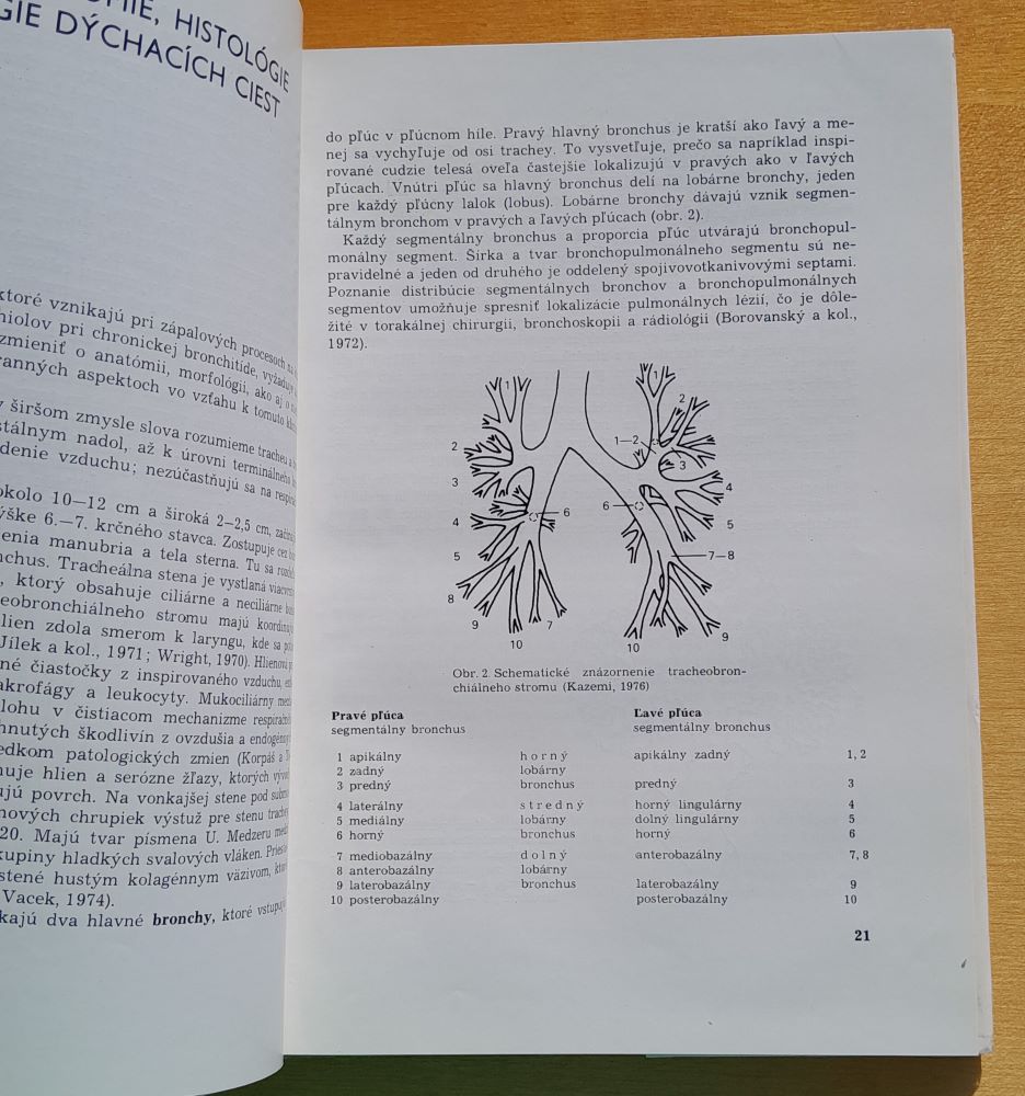 Bronchitis chronica / Edícia pre postgraduálne štúdium lekárov