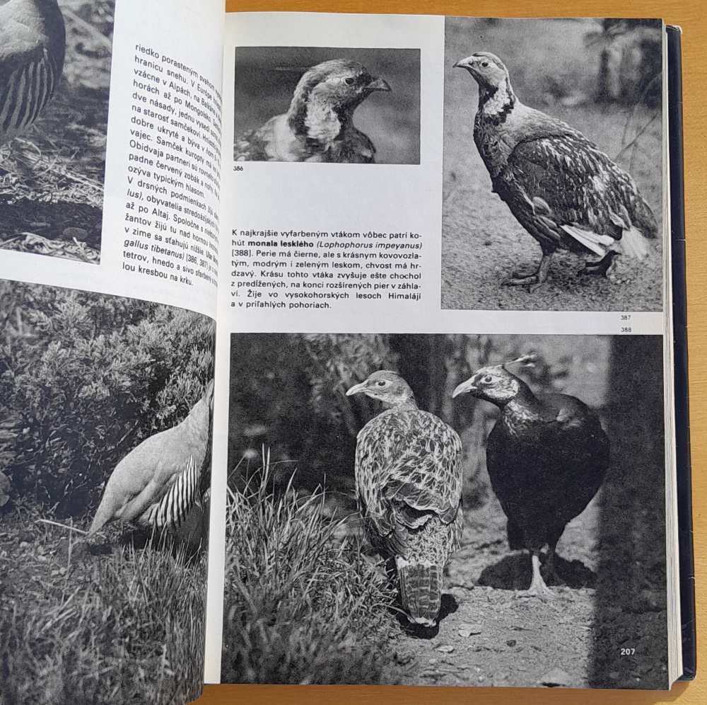 Veľký obrazový atlas vtákov