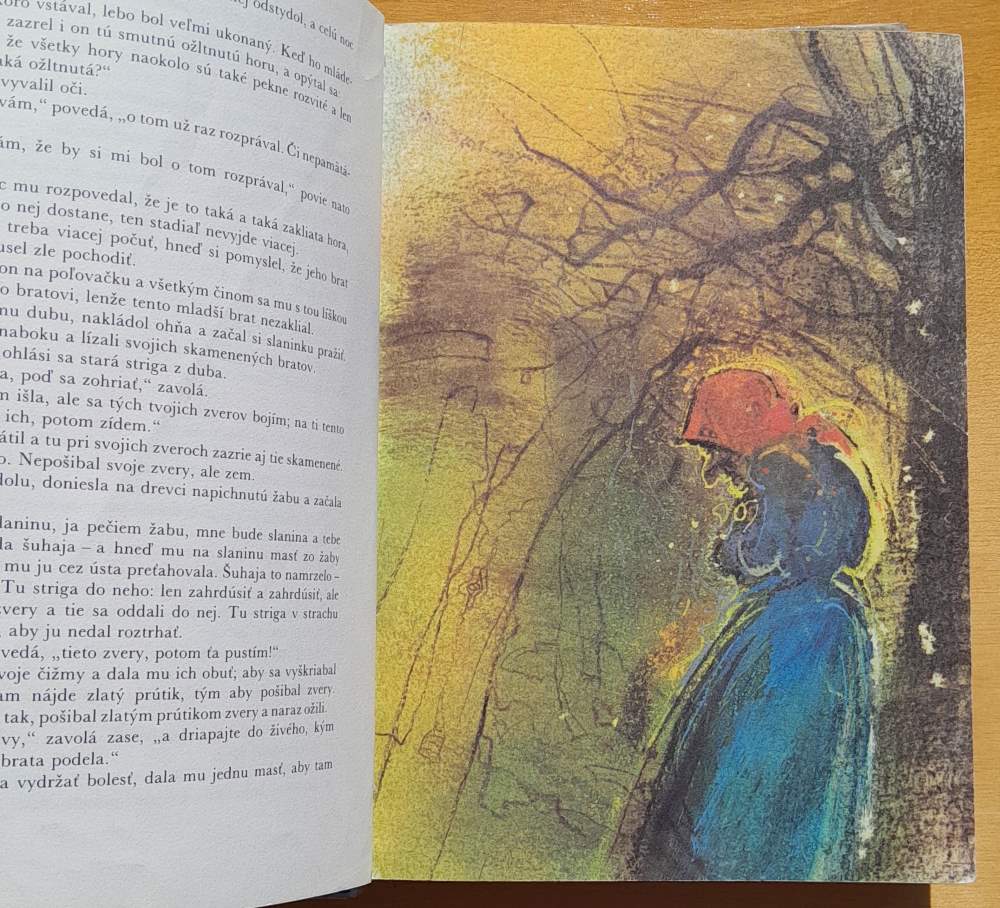 Zakliata hora / Hviezdoslavova knižnica