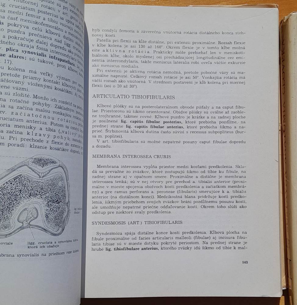 Sústavná anatómia človeka 1. 2.