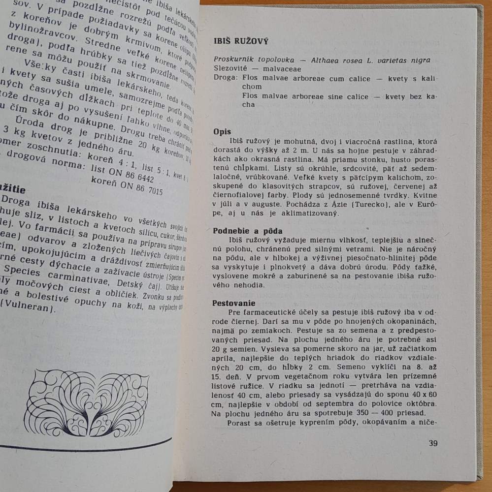 Pestovanie liečivých rastlín na malých plochách