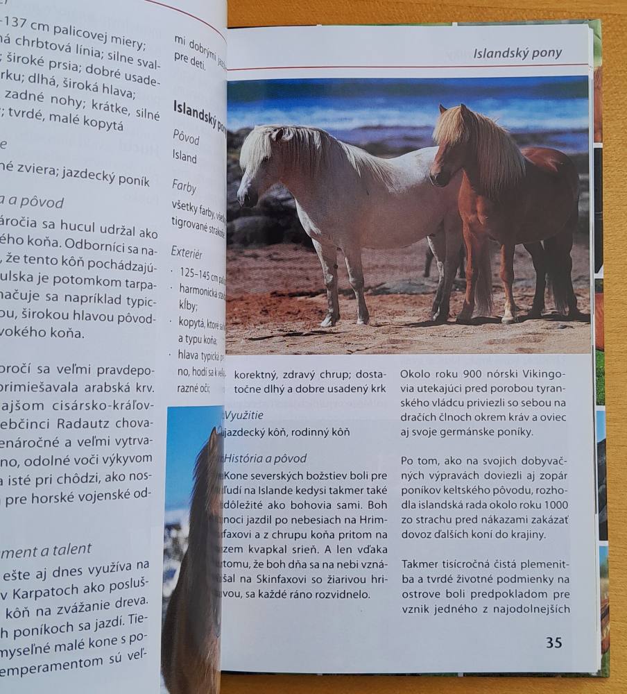 Kone / Poznávame a určujeme