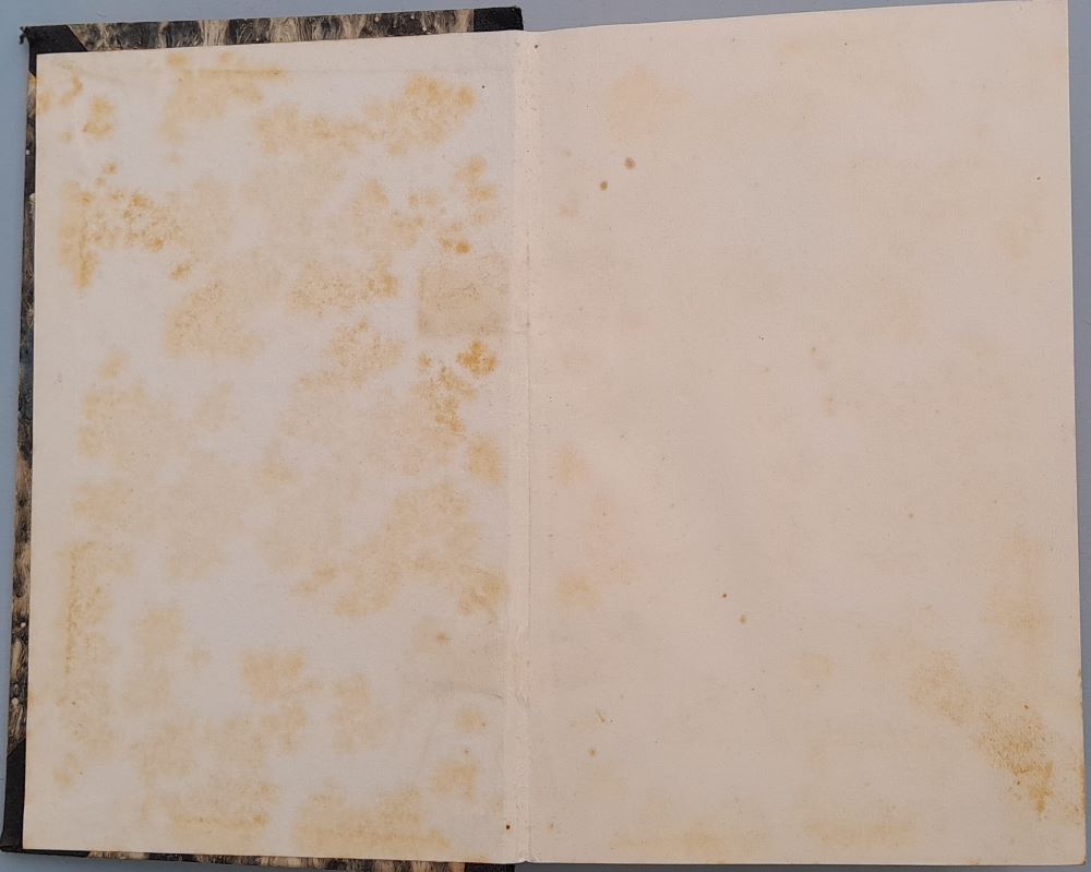 Adam Šangala / Román