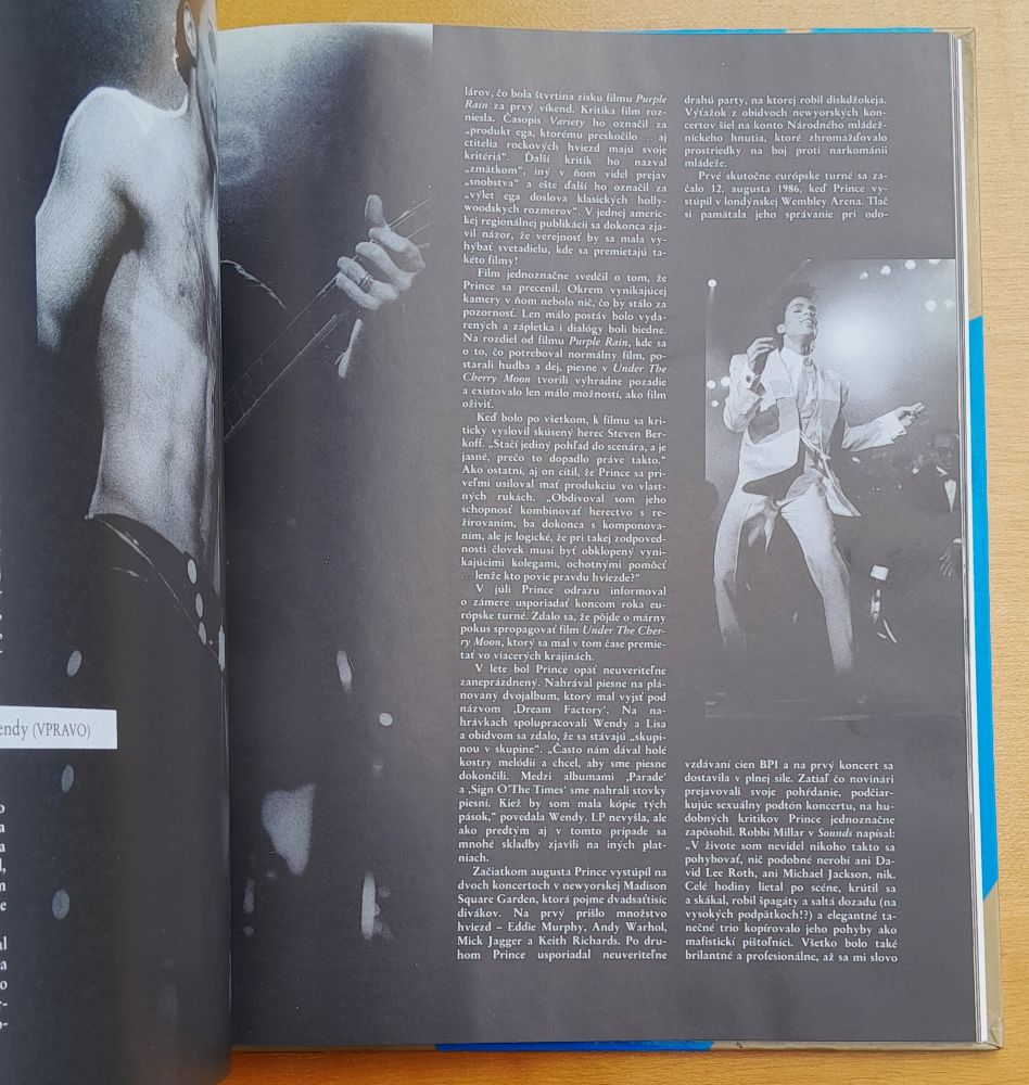 Prince / Prvá ilustrovaná biografia