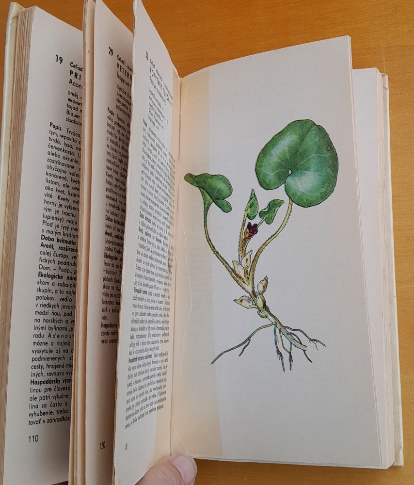 Rastliny lesov 1. / Obrázková kvetena Slovenska / Edícia Obrázky z prírody