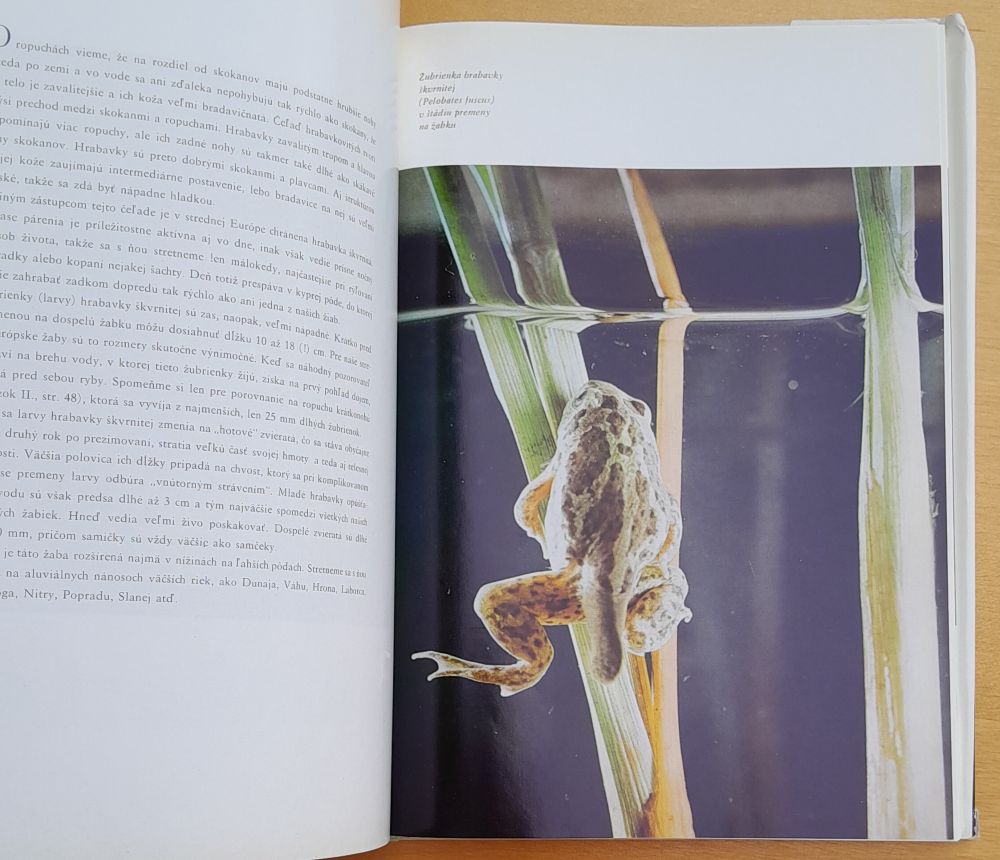 Potulky prírodou 4. / Edícia Živočíšna výroba