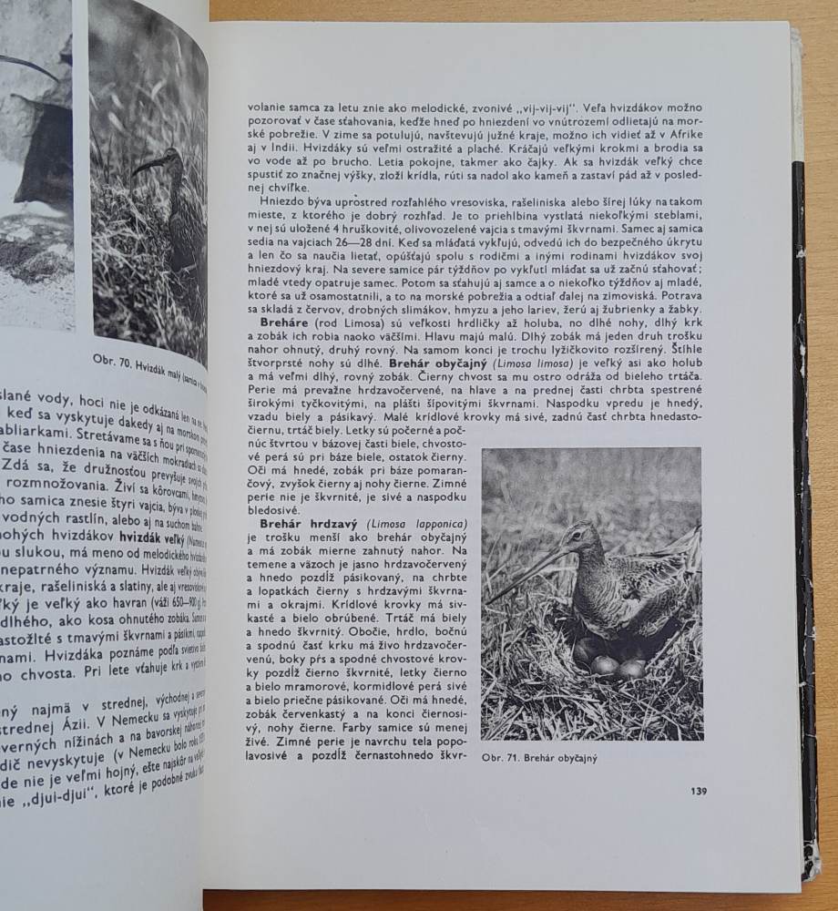 Život zvierat 3. Vtáky / Brehms Tierleben