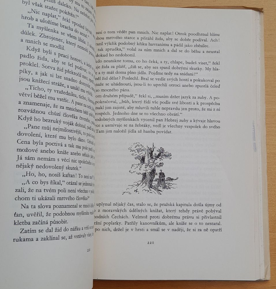 Obrazy z dějin národa českého 1. / Od dávnověku po dobu královskou