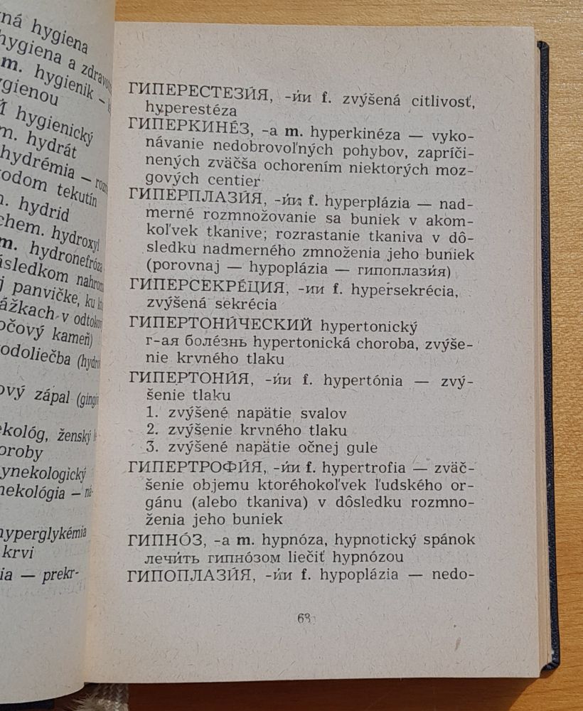 Rusko slovenský lekársky slovník