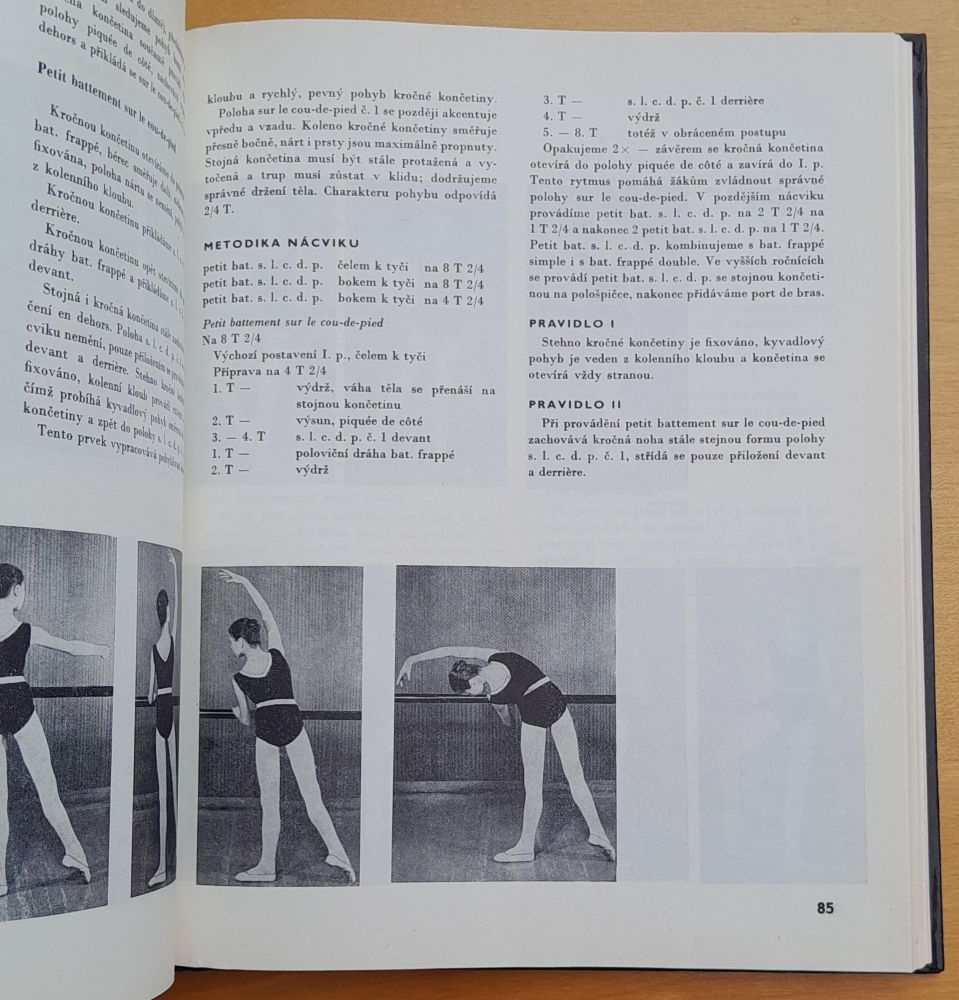 Základy klasického tance / Edice Odborná literatura pro učitele