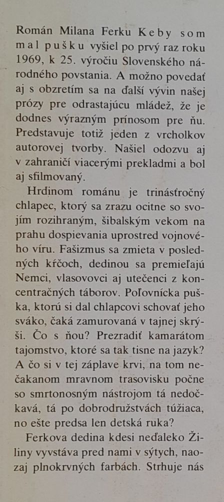 Keby som mal pušku